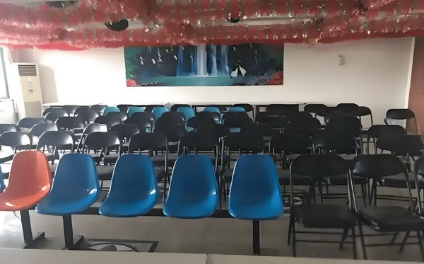 妃追不可